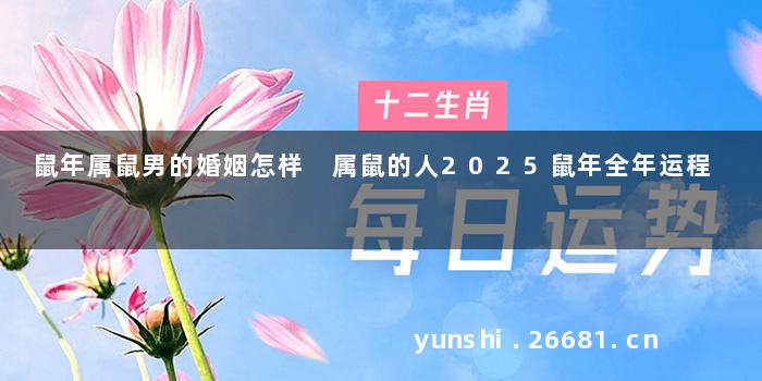 鼠年属鼠男的婚姻怎样 属鼠的人2025鼠年全年运程